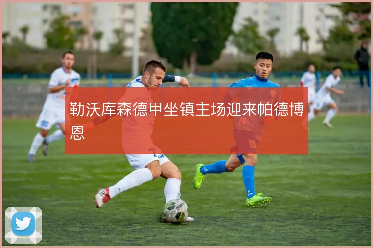 勒沃库森德甲坐镇主场迎来帕德博恩