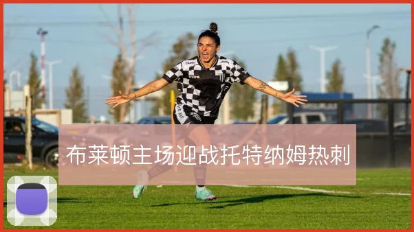布莱顿主场迎战托特纳姆热刺